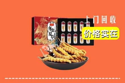 襄阳老河口市回收冬虫夏草
